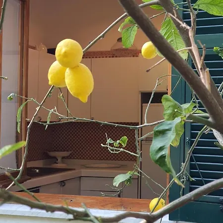 Michelina Seconda Appartement Rapallo Buitenkant foto
